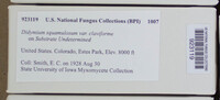 Image Associated With the Occurence